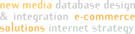 Website Design Agency - new media - database design - database integration - e-commerce solutions - internet strategy