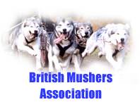 Visit The BMA Website