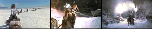 Tomb Raider Huskies