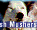 Return to our homepage